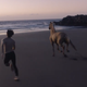 Image for article titled A Deep Dive Into This Burberry Commercial With a Horse and Adam Driver